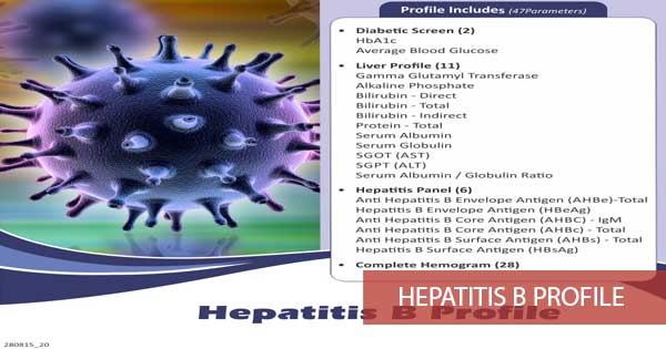 Hepatitis B Profile